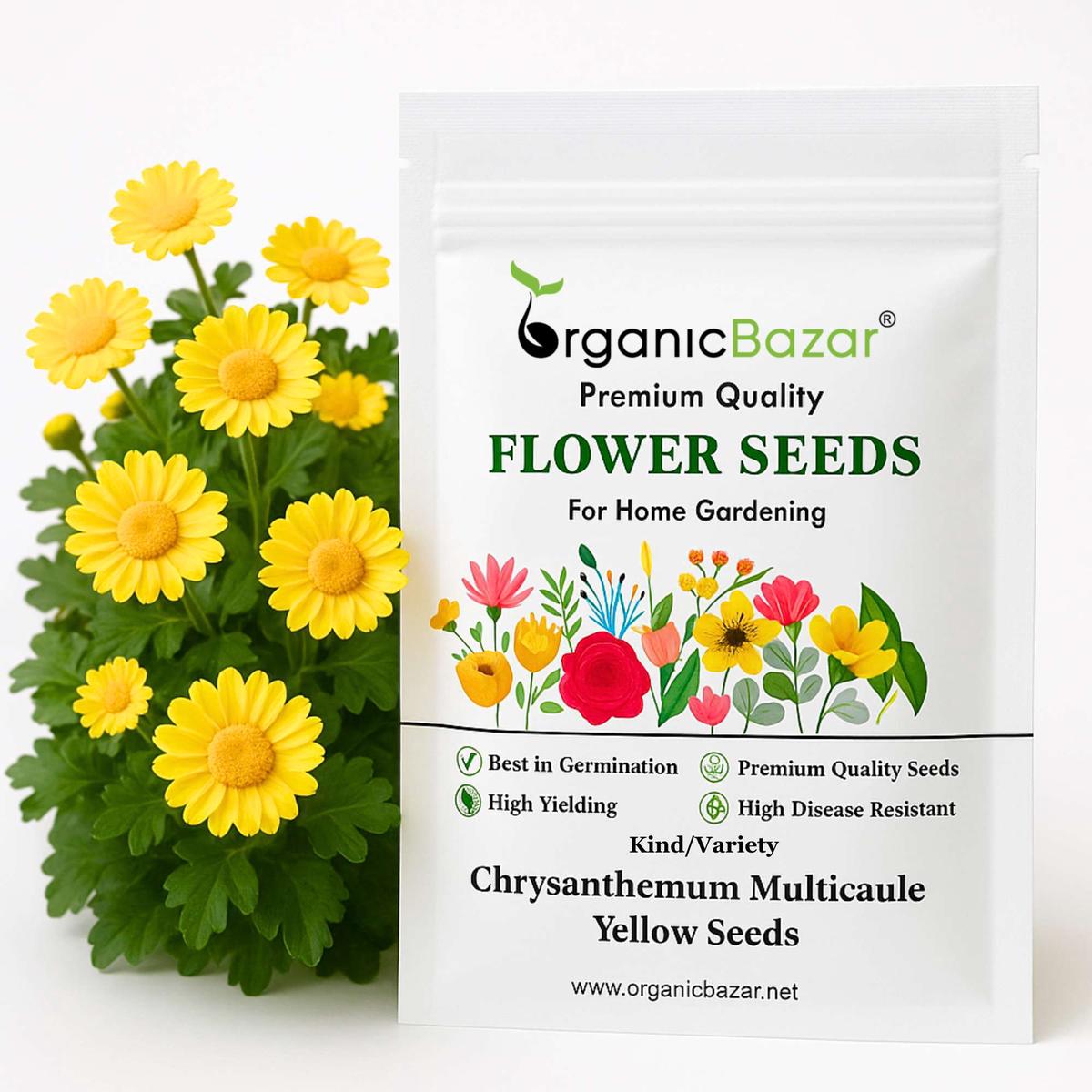 Chrysanthemum Multicaule Yellow Seeds – 200 Seeds (Guldaudi/Chandra Mallika/  )