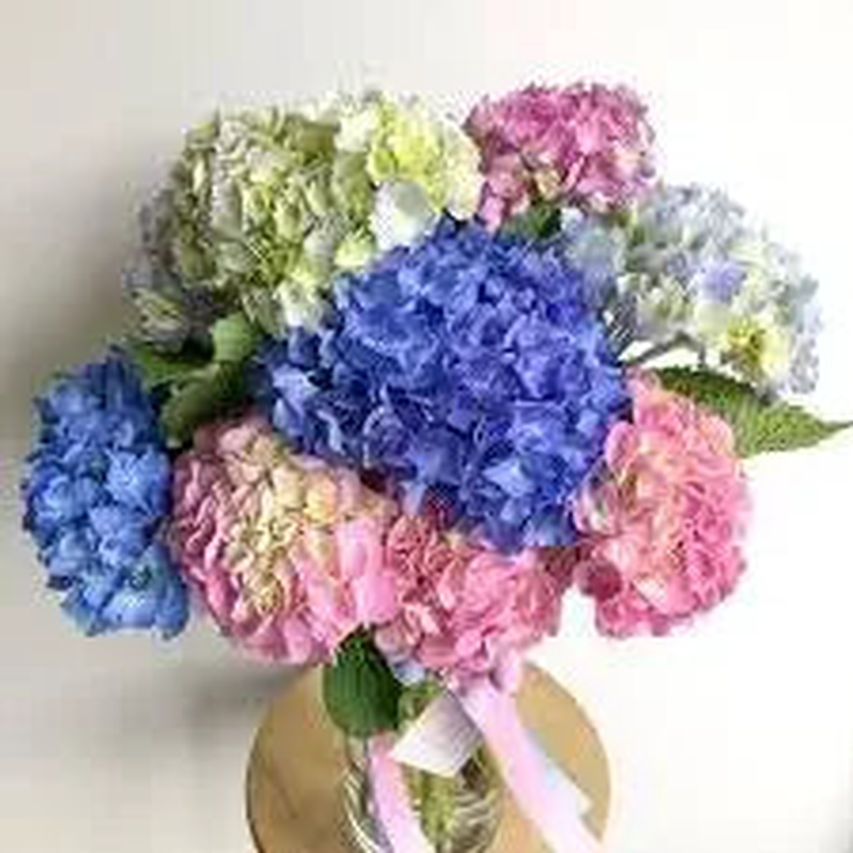 Hydrangea Seeds, Bonsai Hydrangea for Home Garden