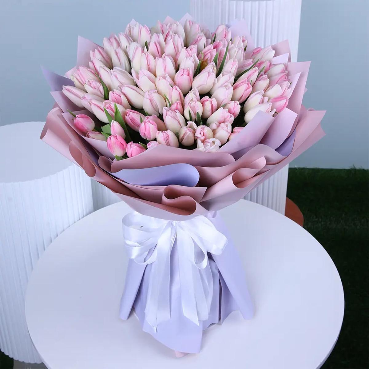 Light Pink Tulip Flower Seeds for Planting  Heirloom Non-GMO Organic Garden Seeds with High Germination