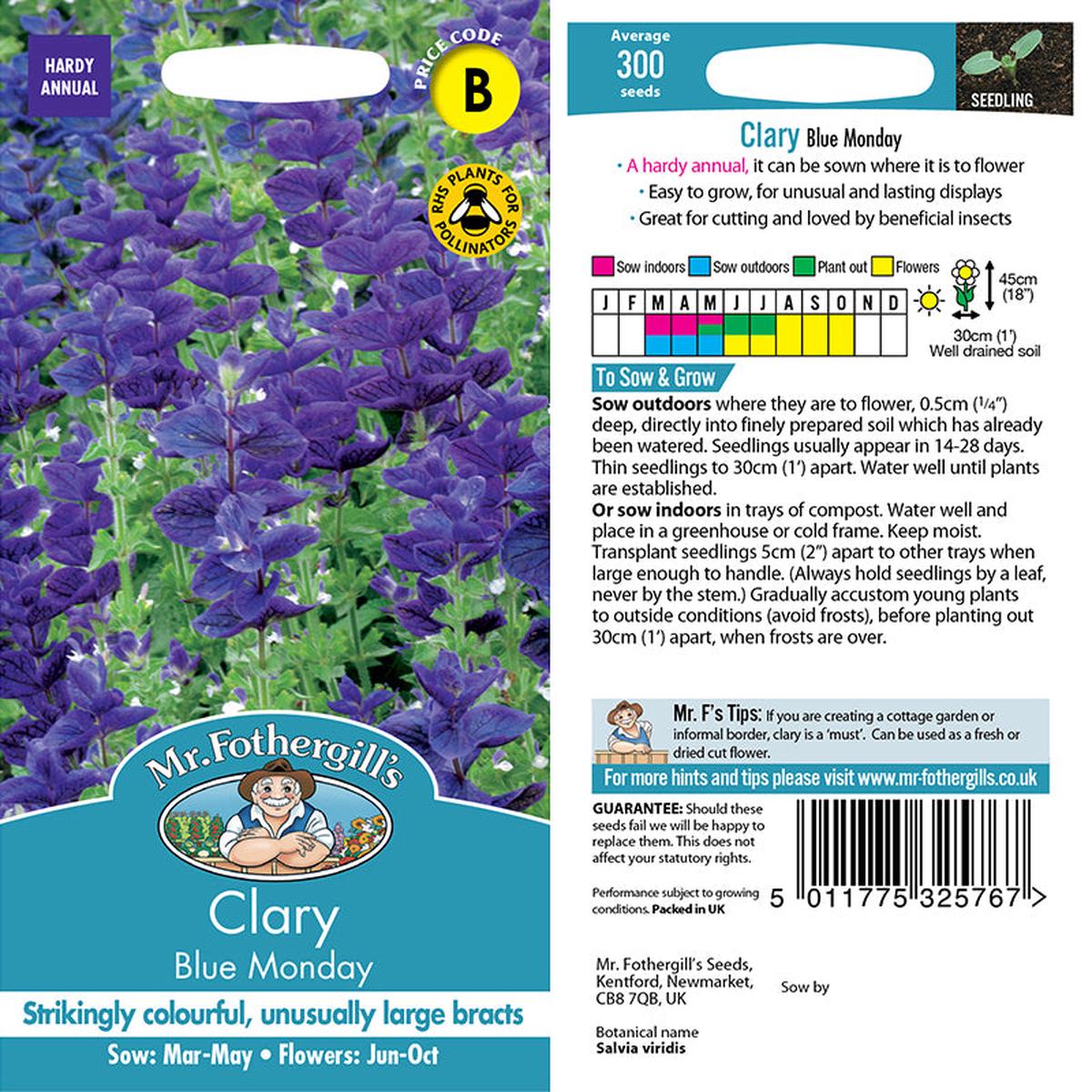 Clary Blue Monday  Seeds