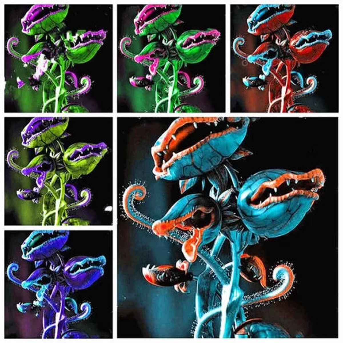 Dionaea Flytrap Seeds | Giant Carnivorous Venus Flytrap  Heirloom, Non-GMO, High Germination Organic Garden Seeds
