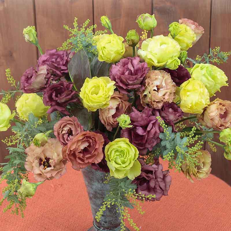 Lisianthus Seeds – Rosanne Mix