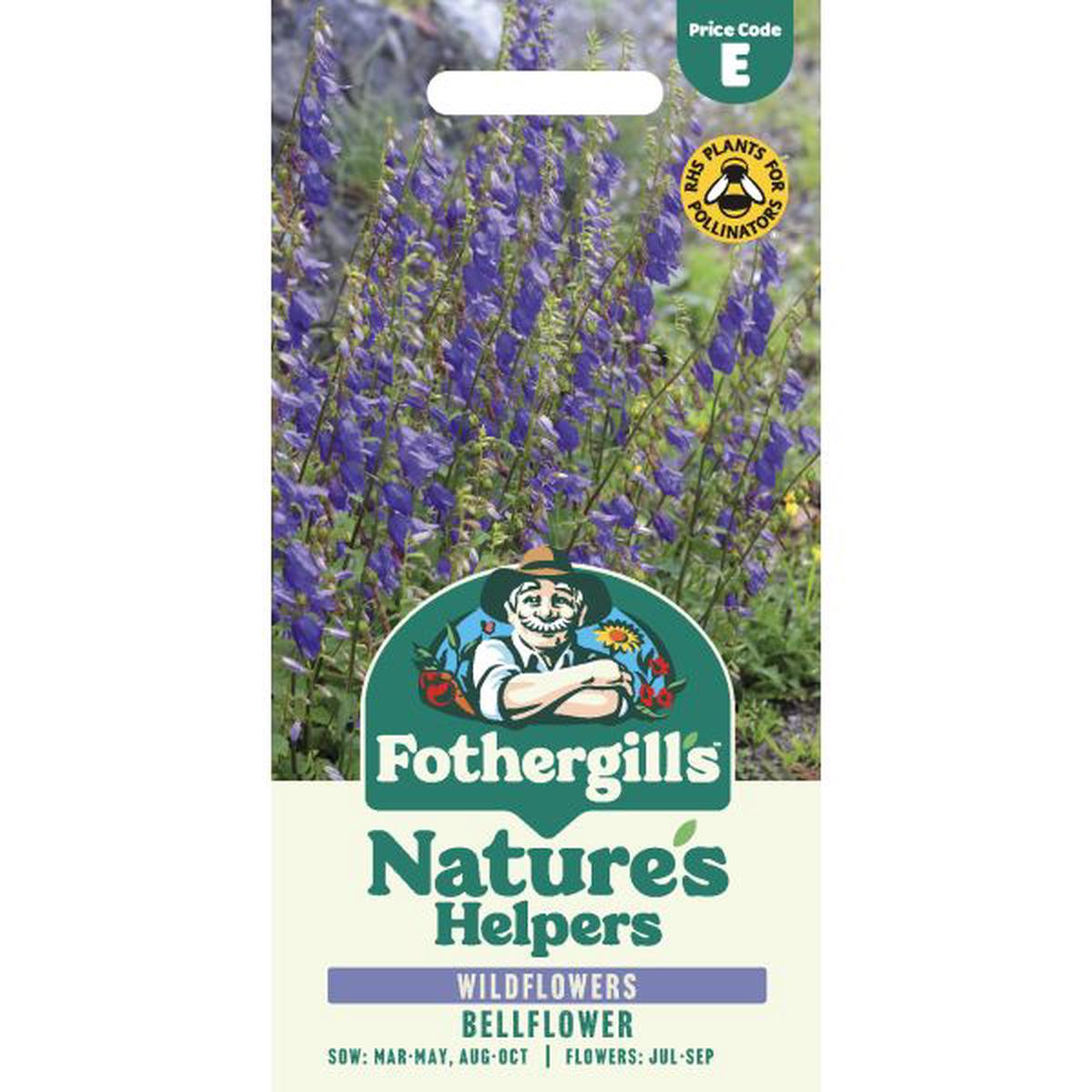 Nature’s Helpers Bellflower Wildflower Seeds
