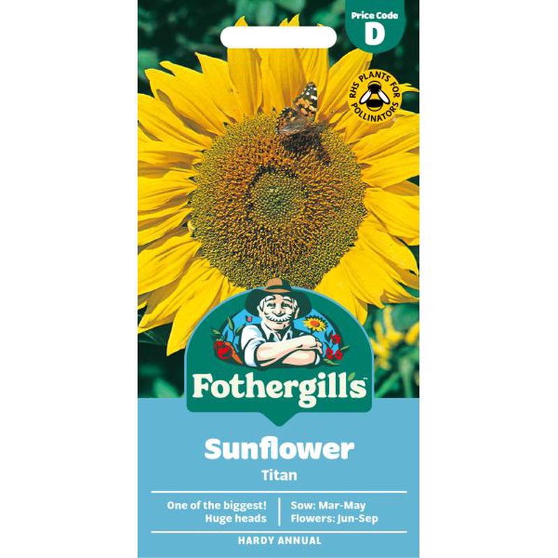 Sunflower Titan Seeds