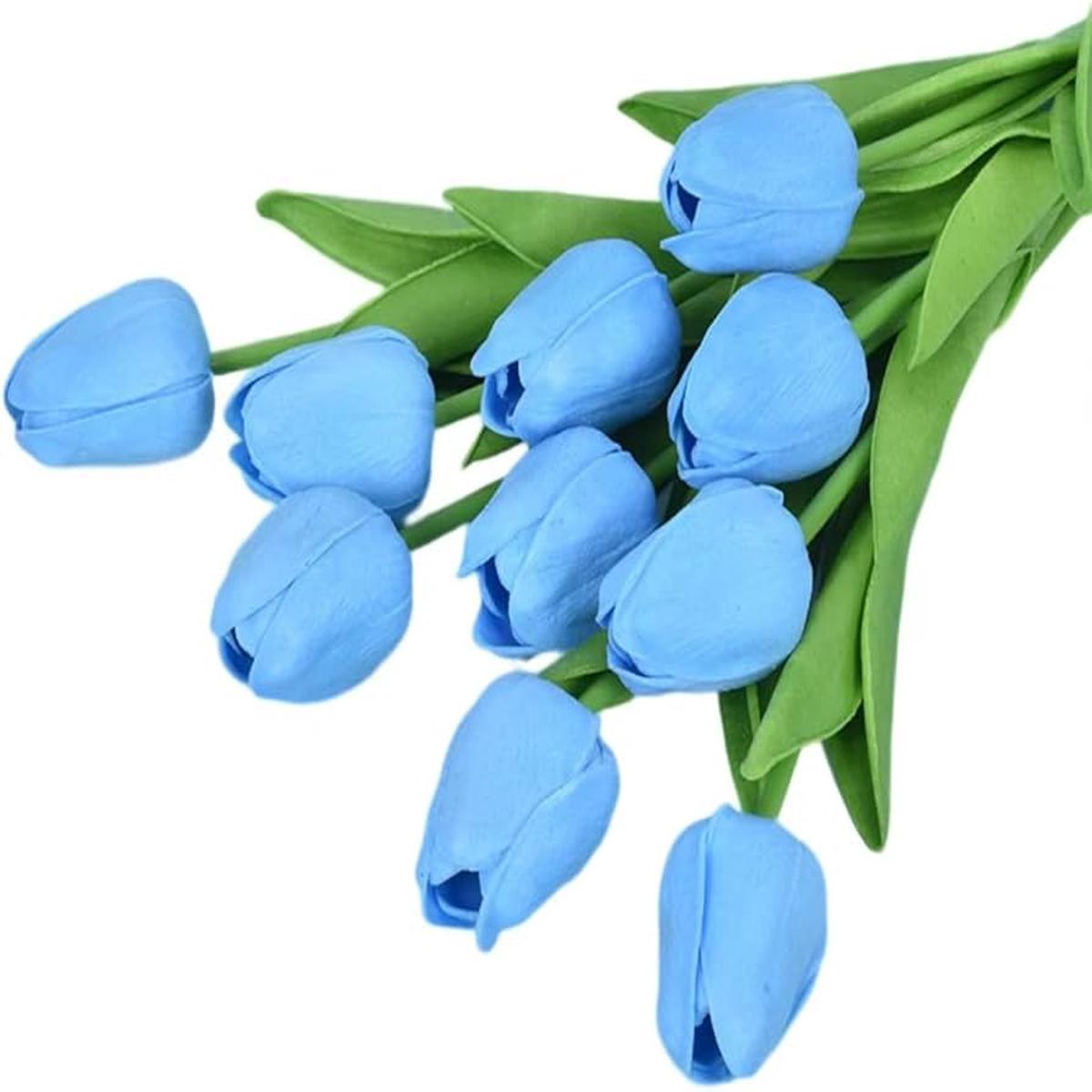 Sky Blue Tulip Flower Seeds for Planting  Heirloom Non-GMO Seeds for Home Garden, High Germination