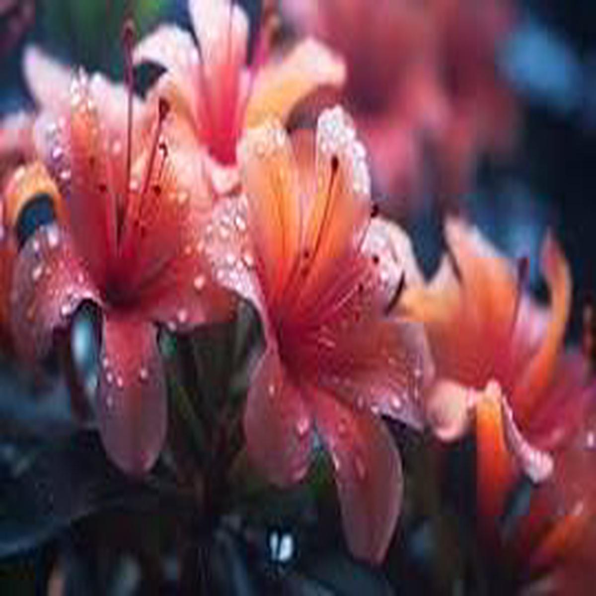 Cascade Flower Seeds for Planting – Colorful Display, Heirloom, Non-GMO, High Germination, 100pcs