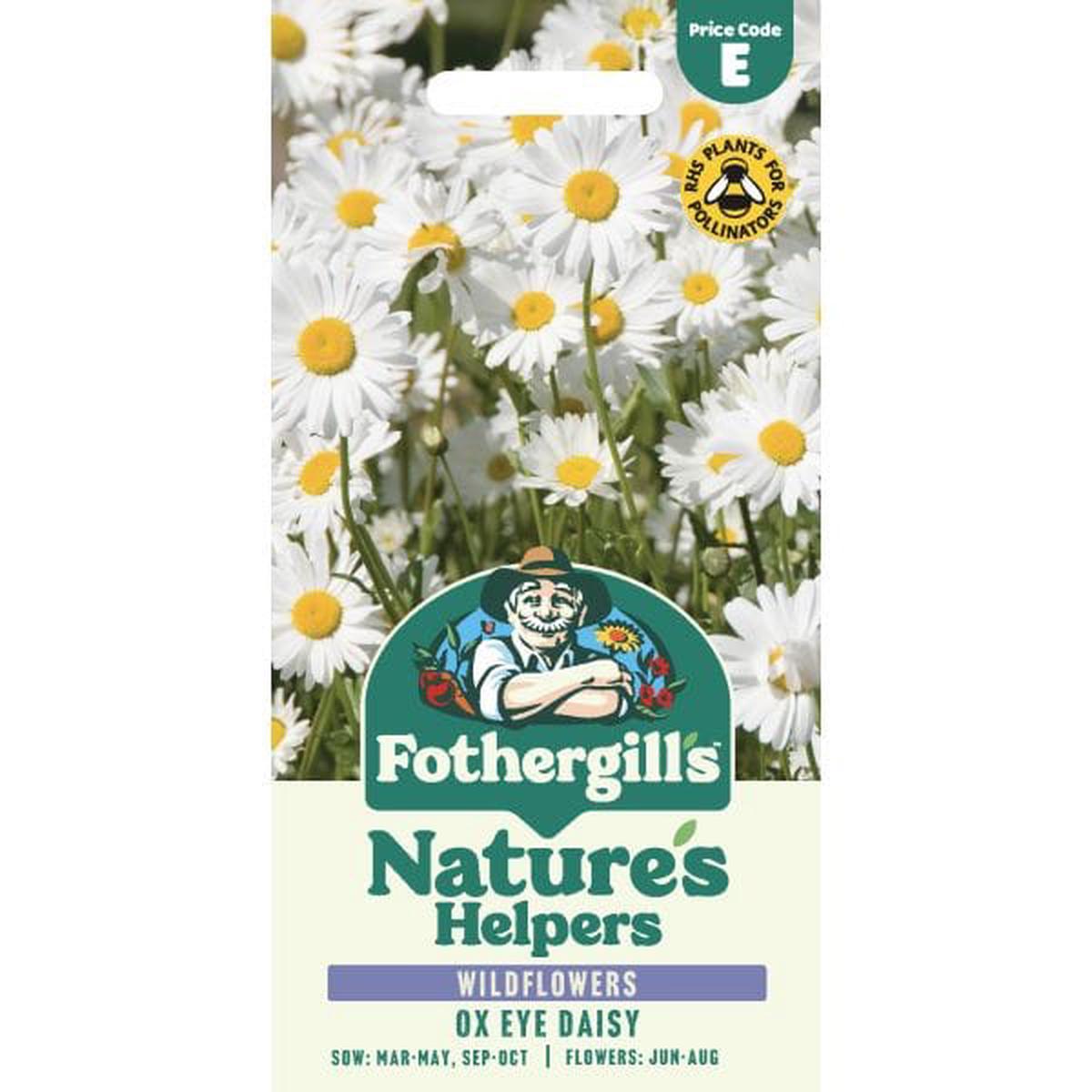 Mr Fothergills Nature’s Helpers Chrysanthemum Ox Eye Daisy Seeds