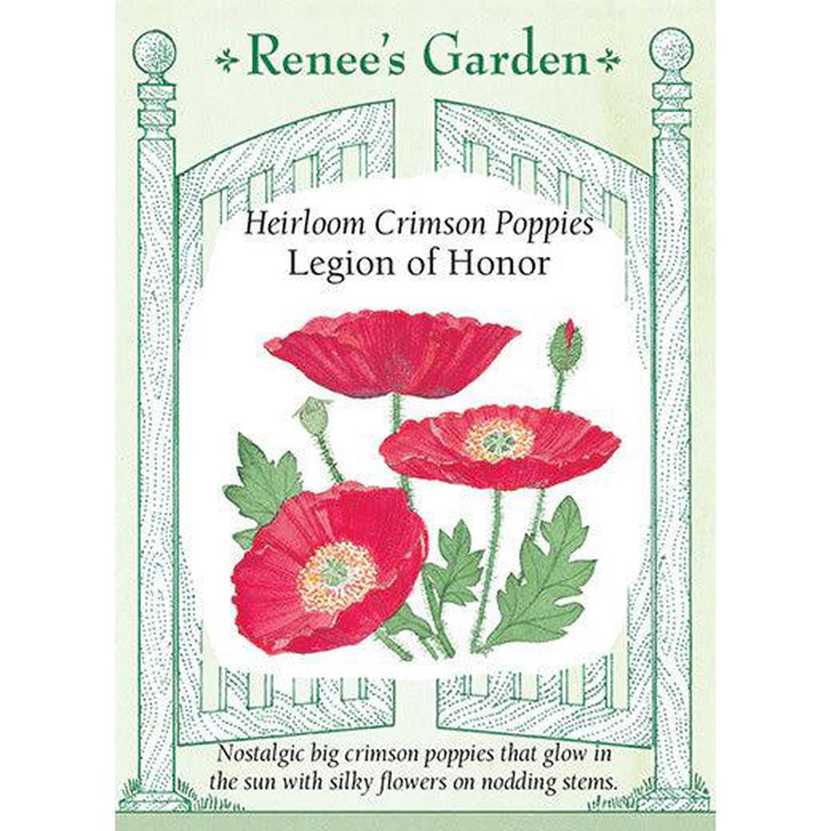 Shirley Legion of Honor Poppy