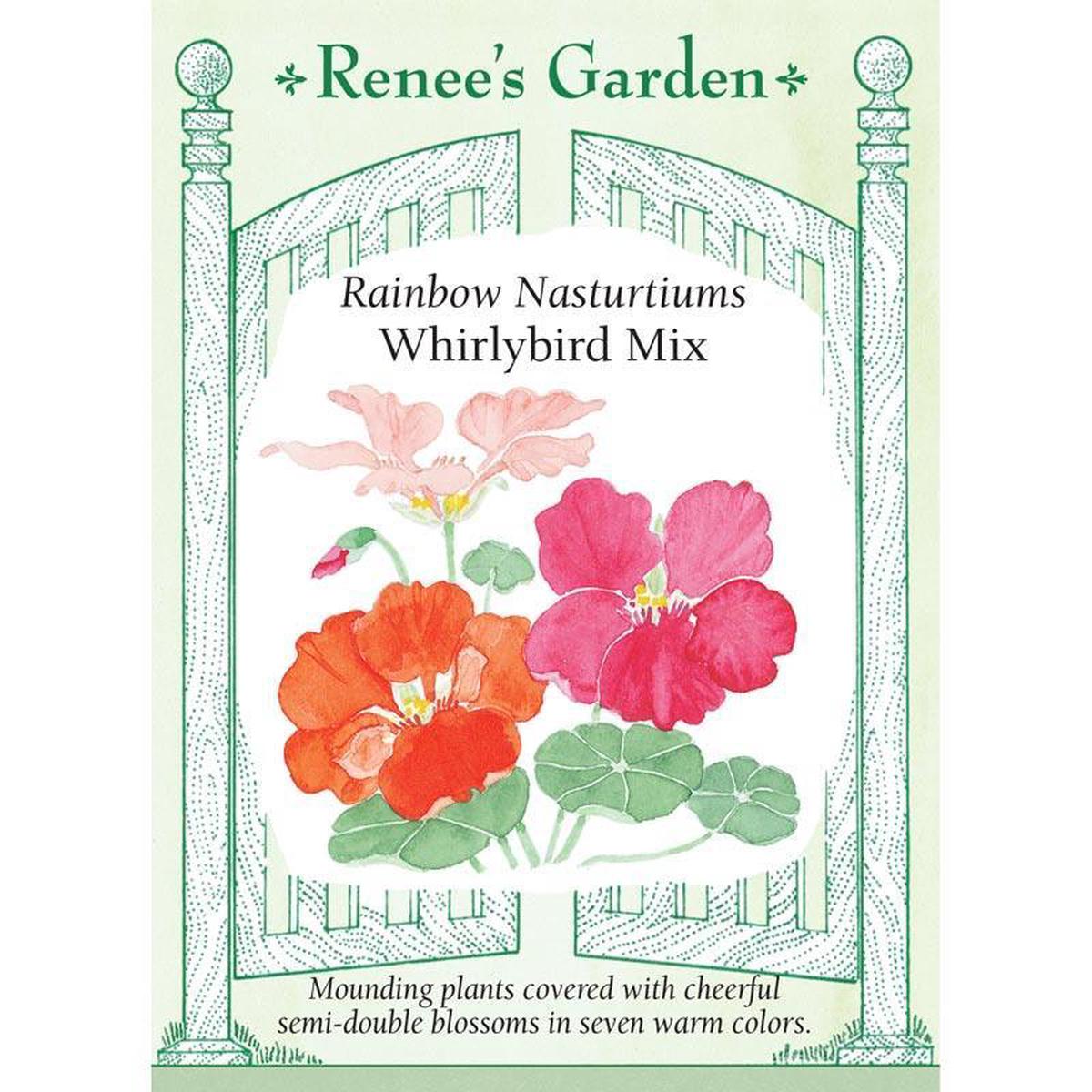 Whirlybird Rainbow Nasturtium Flower Seed Mix