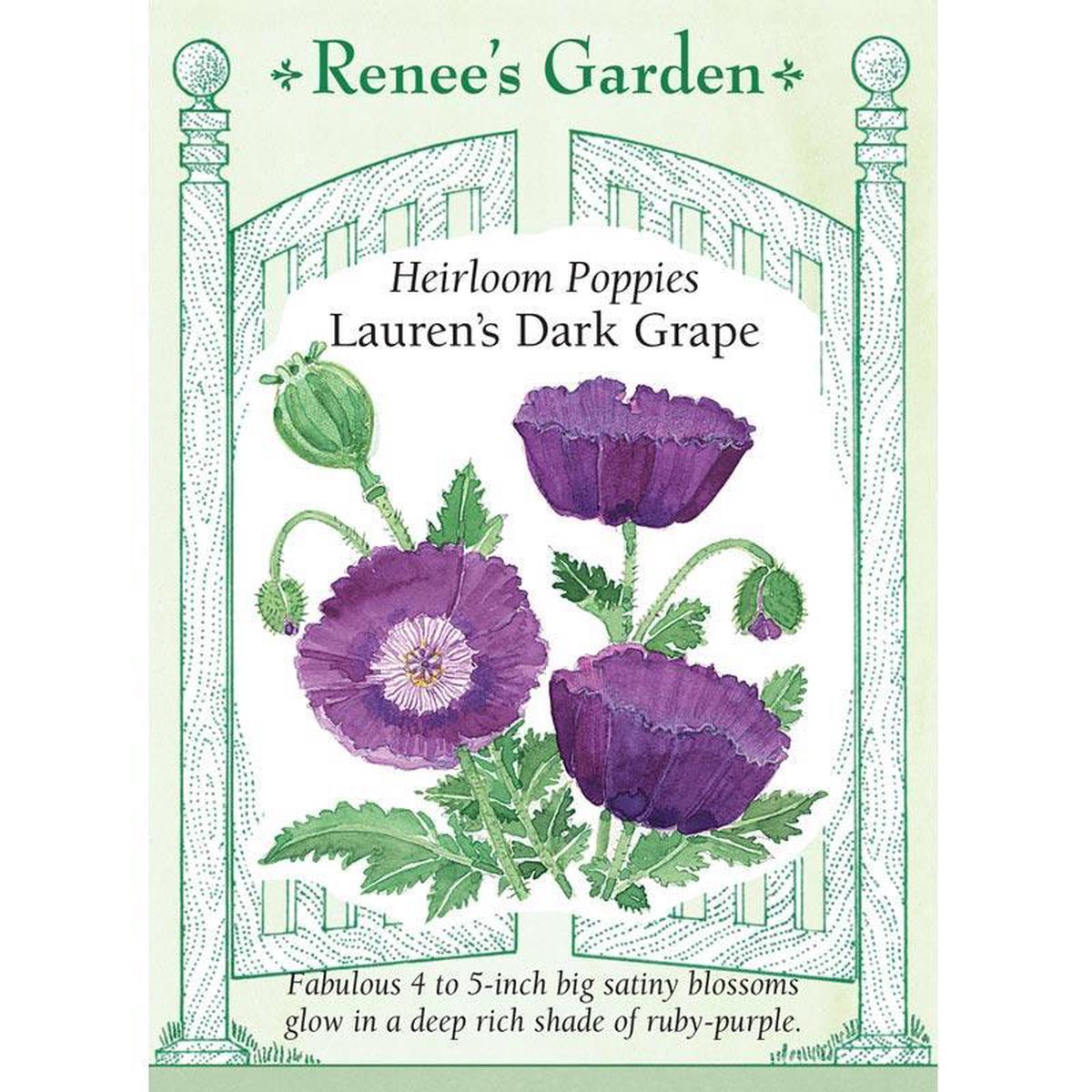 Lauren’s Dark Grape Heirloom Poppy Flower Seeds