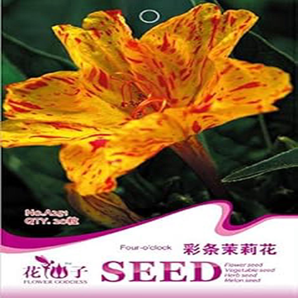 Yellow Red Four O’Clock Flower seeds for Planting – Wildflower Mix, Heirloom & GMO Free Seeds for Home Garden
