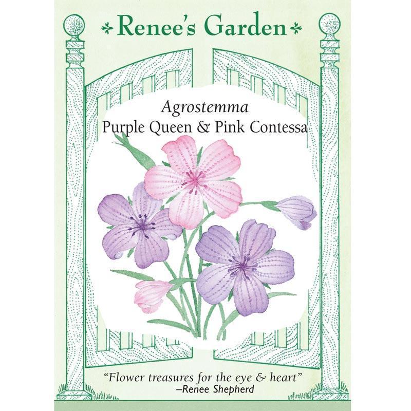 Purple Queen and Pink Contessa Agrostemma Flower Seeds
