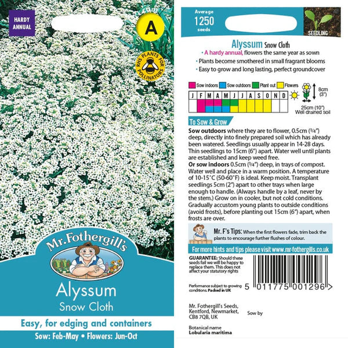 Mr Fothergills Alyssum Snow Cloth Seeds