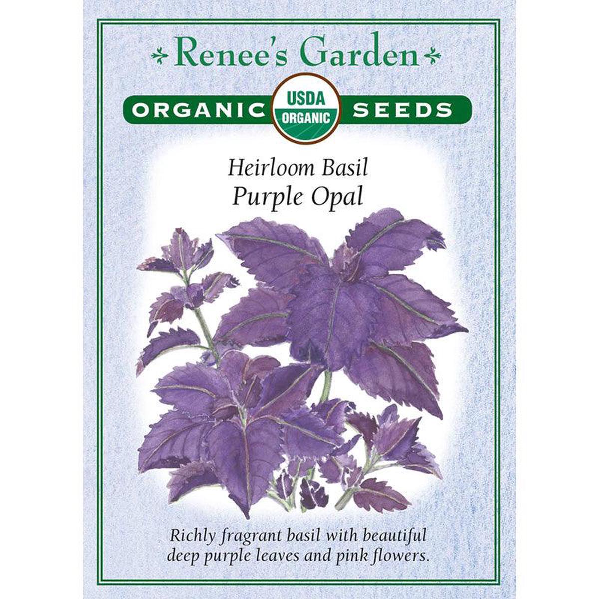 Purple Opal Basil (Organic)