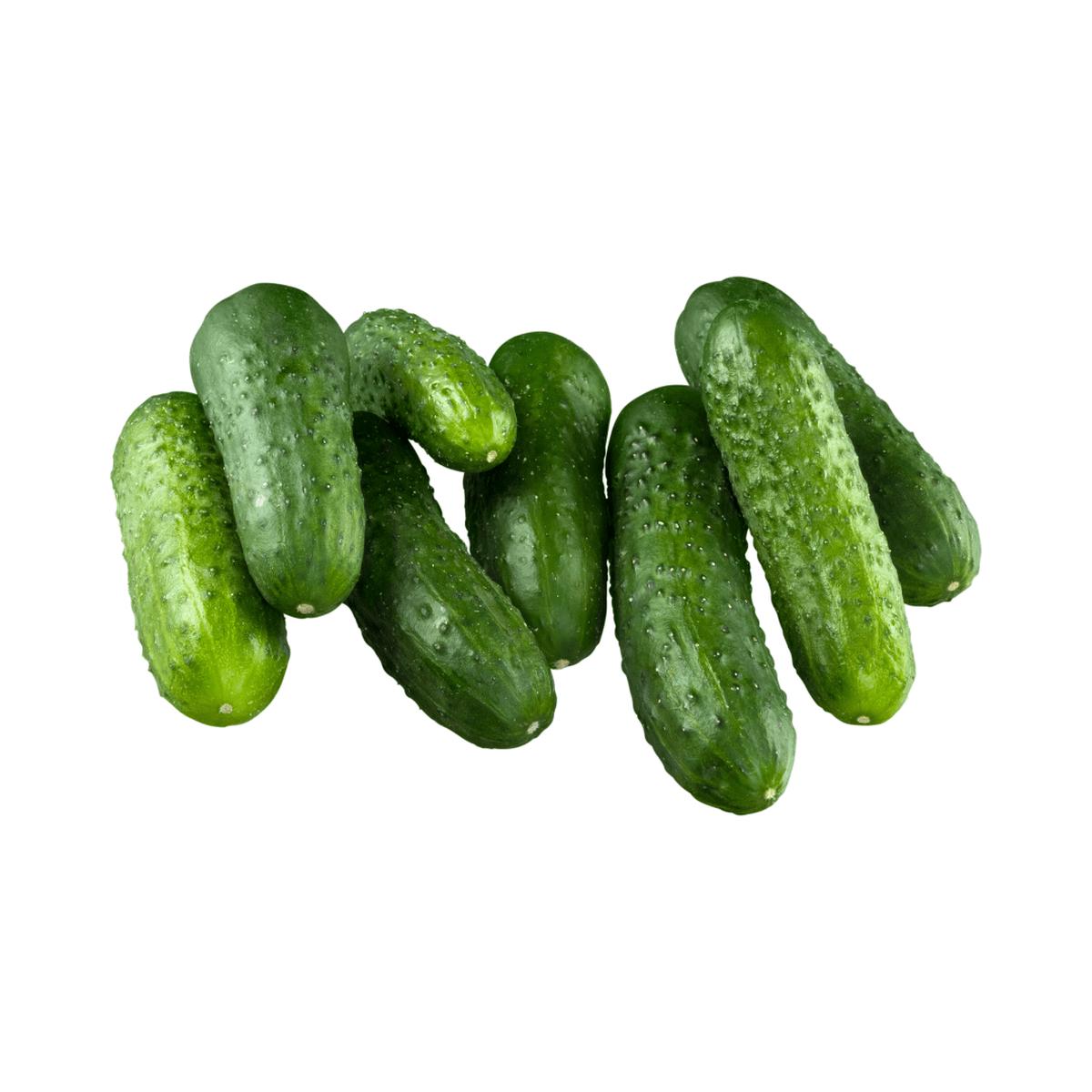 Cucumbers Homemade Pickles Seeds | West Coast Seeds