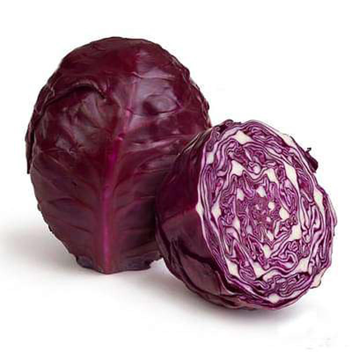 Cabbage Red Arce 8211 Vegetable Seeds