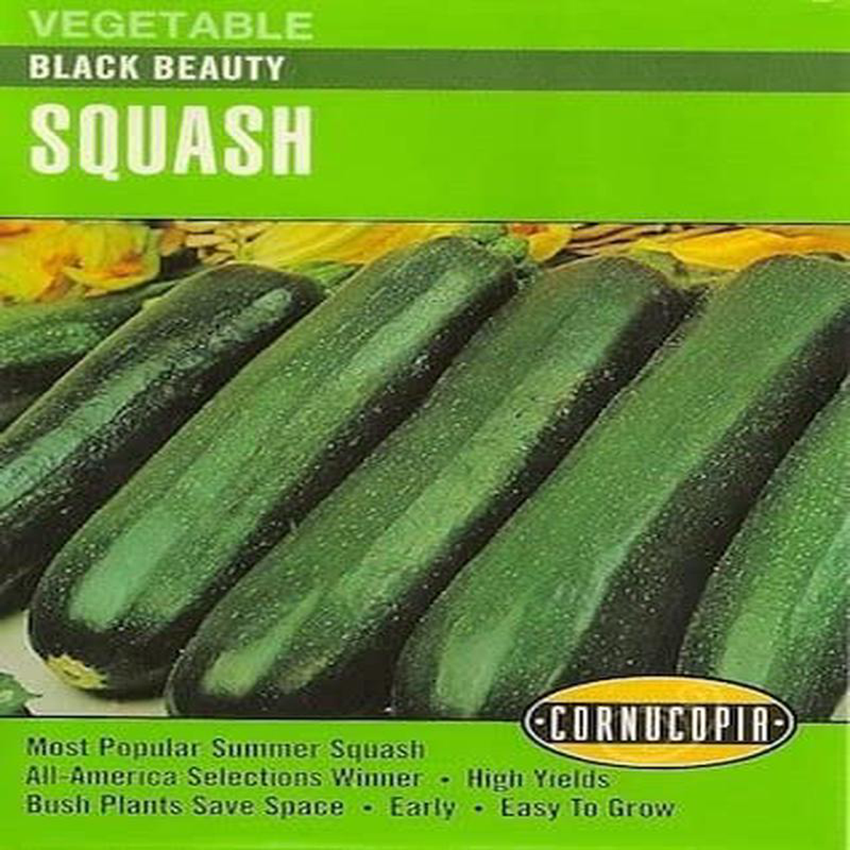Zucchini Black Beauty 8211 Cornucopia Seeds