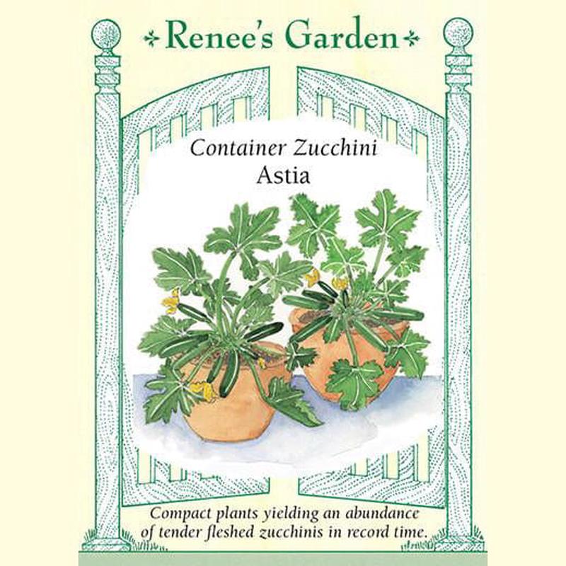 Zucchini Astia - Renee's Garden