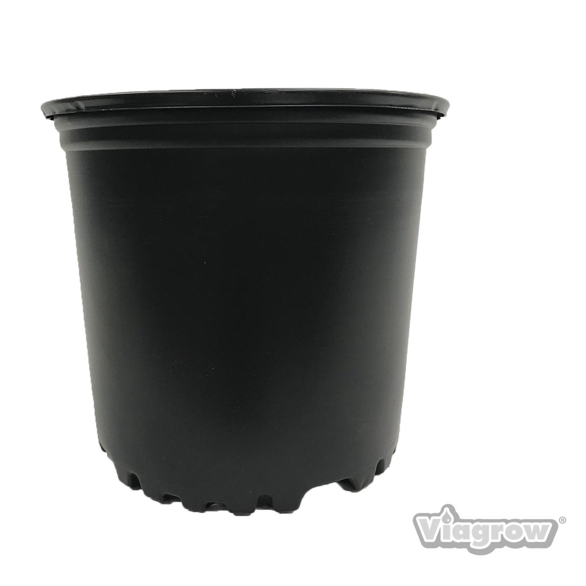 1 gal. 7.875 in. L x 6.25 in. W x 6.75 in. H Black Indoor/Outdoor Plastic Nursery Pot (Packs)