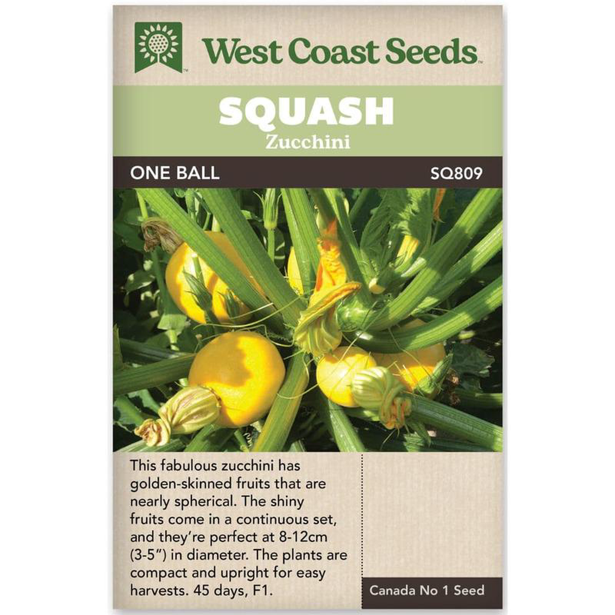 Zucchini One Ball 8211 West Coast Seeds