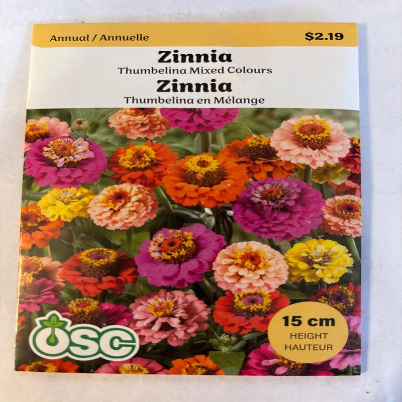 Zinnia Seed Packets - Thumbelina Mixed Colours