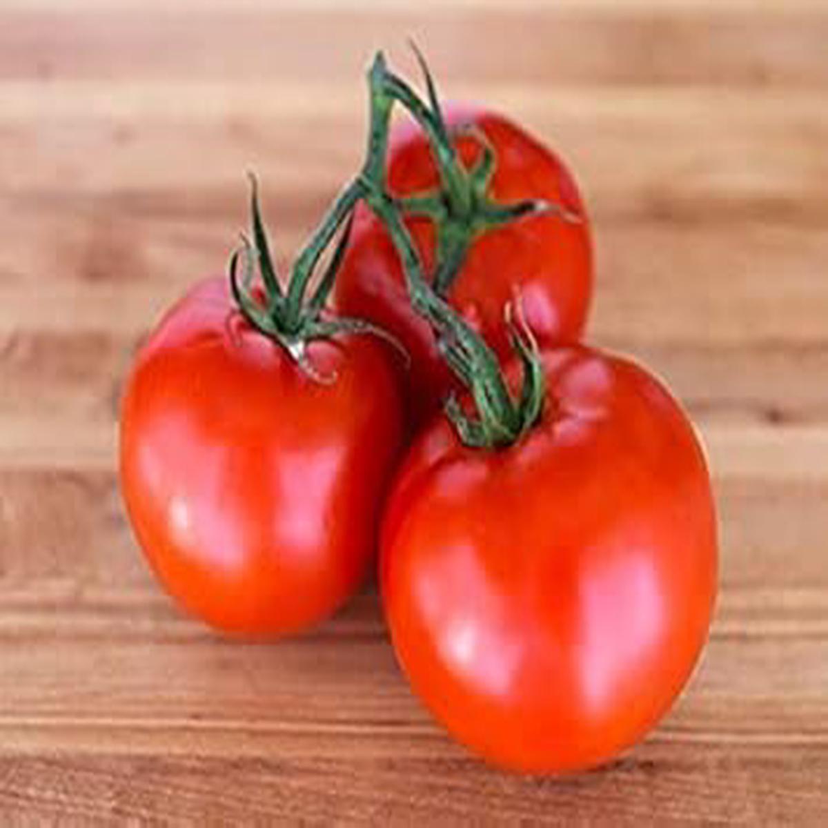 Big Tomato Vegetable Seeds for Planting Heirloom Non-GMO, High Germination Organic Garden Seeds for Canning & Slicing
