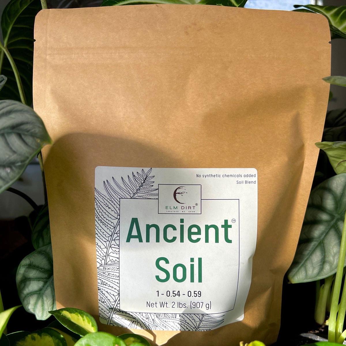 Ancient Soil by Elm Dirt - 25 Lbs
