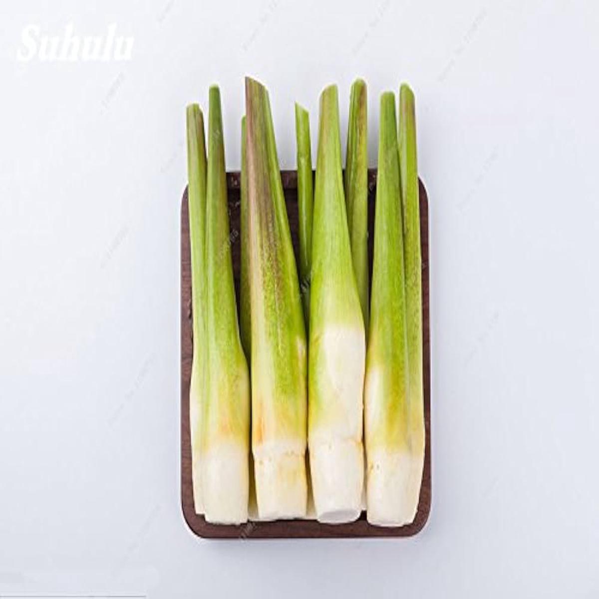 Zizania Latifolia Aquatic Vegetable Seeds