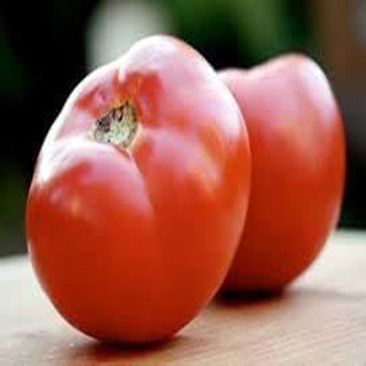 Abe Lincoln Heirloom Tomato Vegetable Seeds for Planting  Non-GMO, High Germination, Organic Garden Seeds