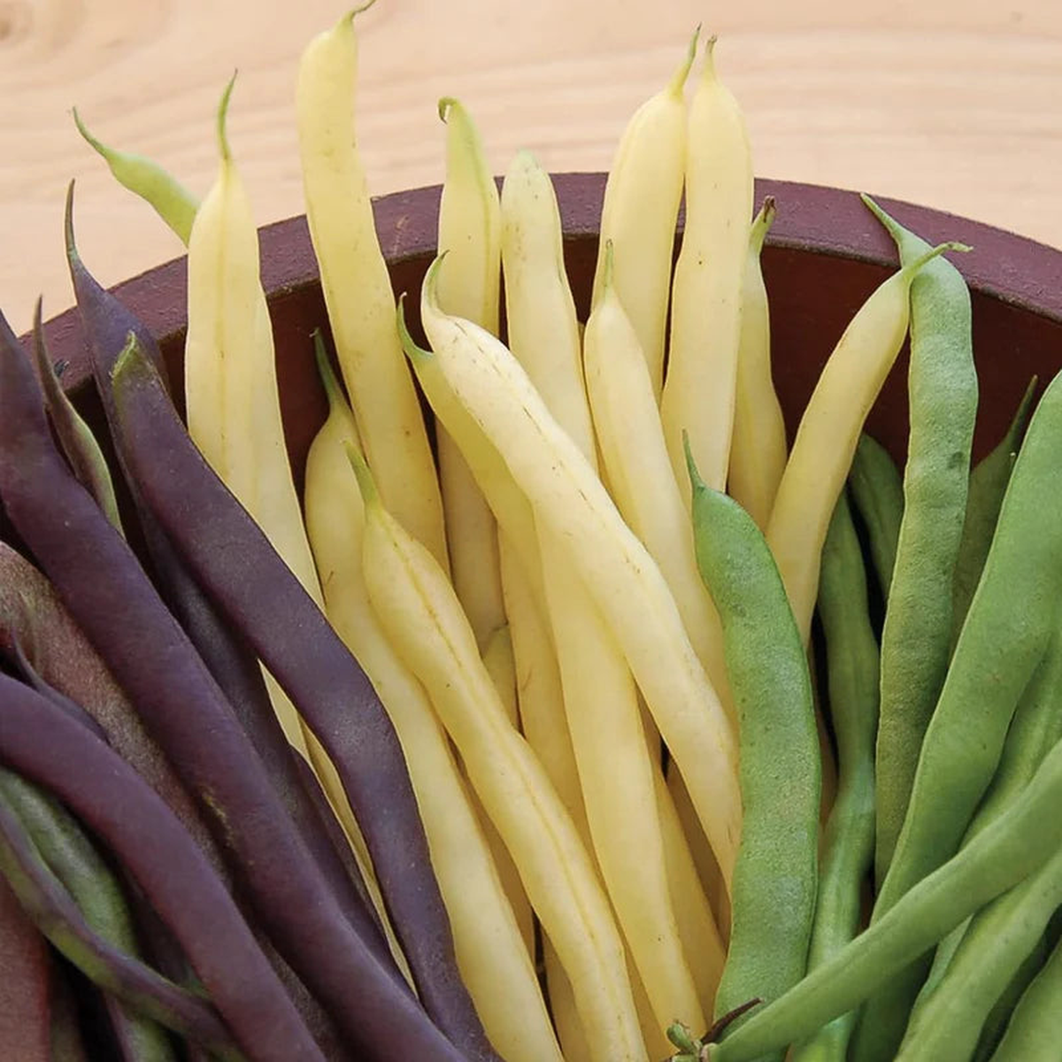 Algarve French Pole Bean Seeds Heirloom Non-GMO High Germination Organic Garden Seeds