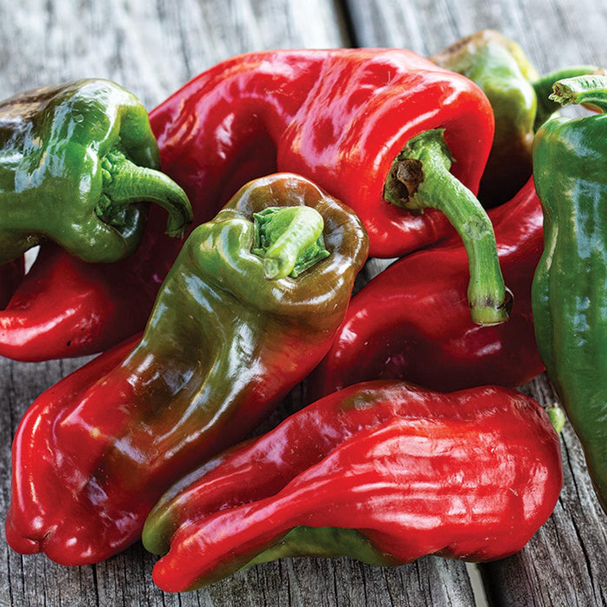Allepo Pepper Seeds for Planting