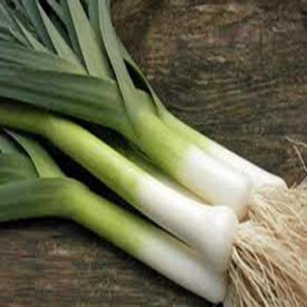 American Flag Leek Seeds for Planting  Heirloom, Non-GMO, Easy to Grow, Perennial