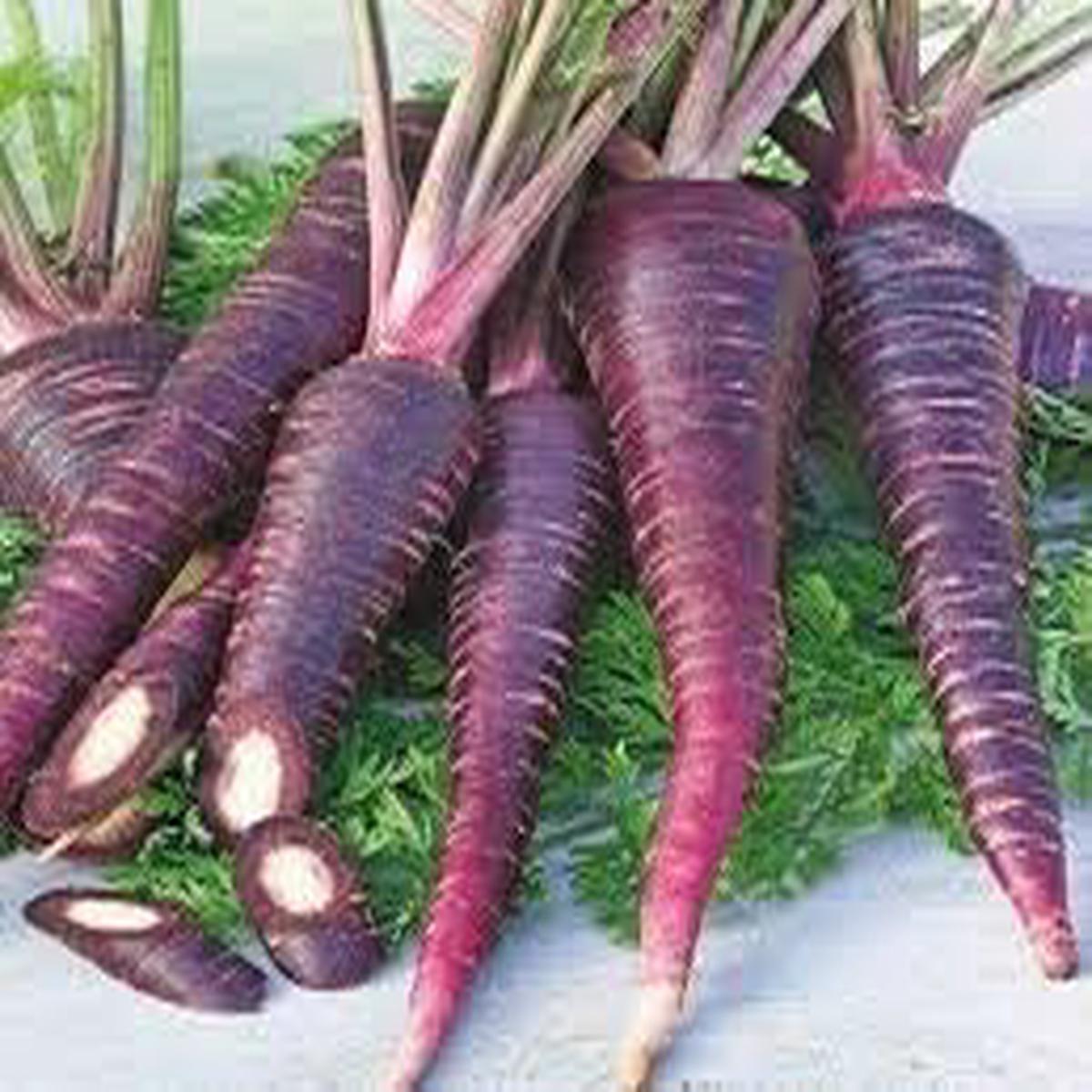 Zanahoria Morada Carrot Seeds for Planting  Heirloom & Non-GMO Vegetable Seeds for Vibrant Purple Harvests
