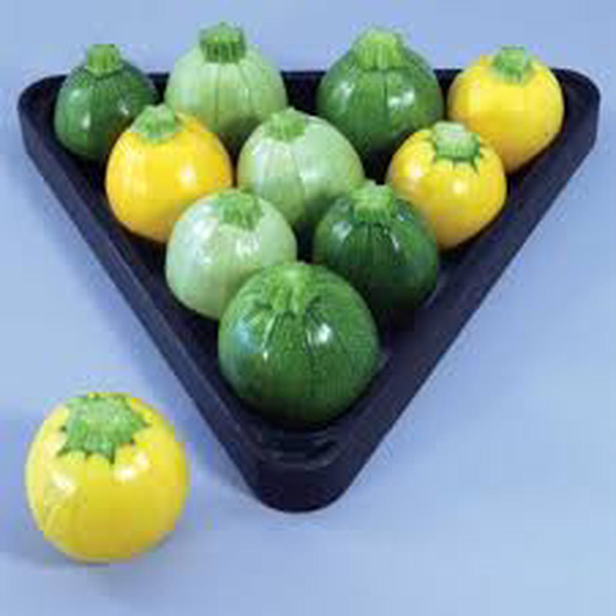 Zucchini Round Mix Squash Seeds for Planting Heirloom, Non-GMO, High Yield, Summer Variety