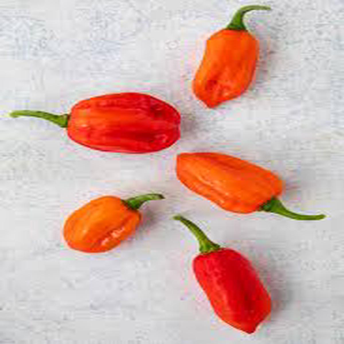 Aji Pepper Seeds for Planting Heirloom Non-GMO Tangy Spice Variety Organic Garden Seeds for Bold Flavor