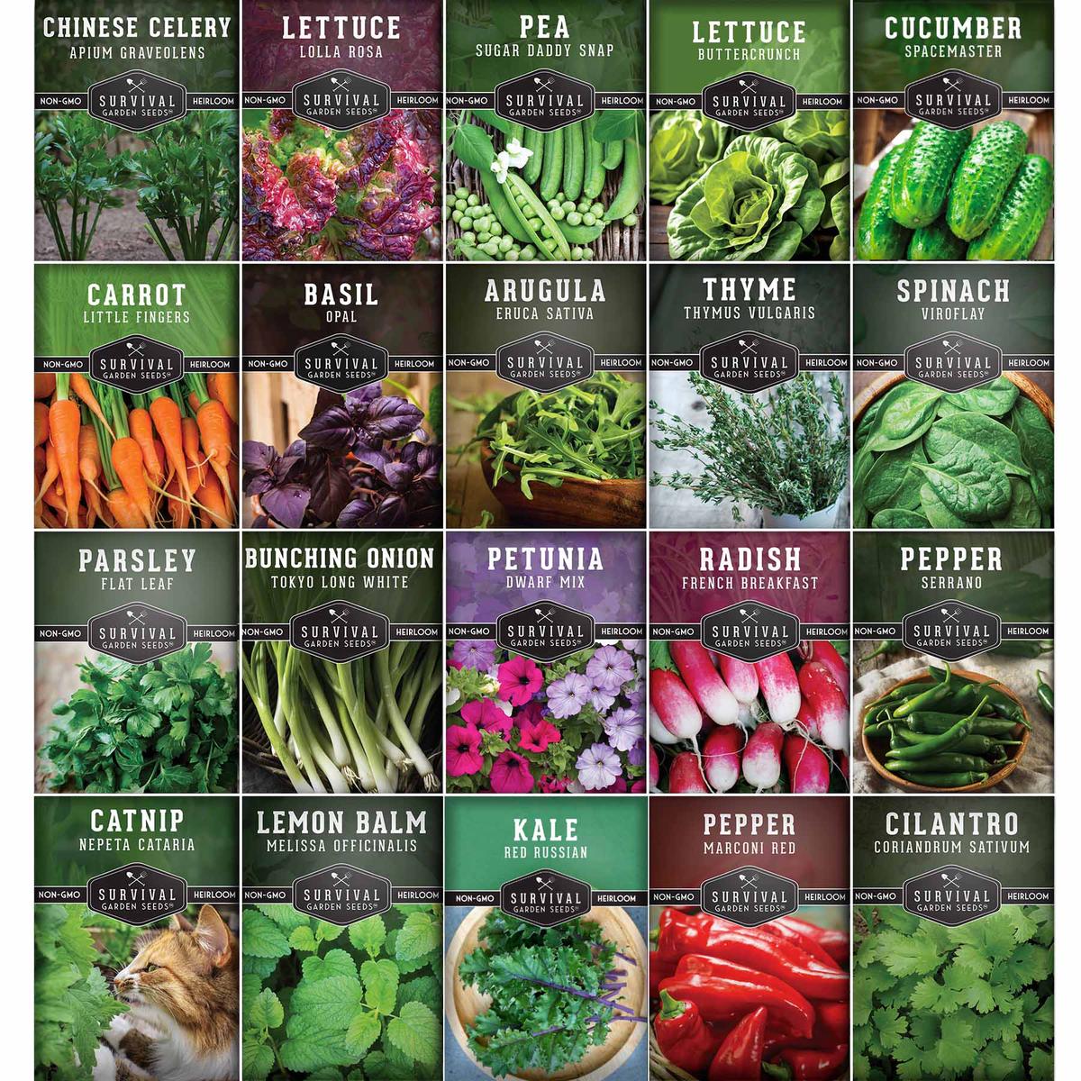 20 Variety Apartment Kit Seed Vault  Non-GMO Heirloom Seeds for Hydroponic & Indoor Small-Space Gardening