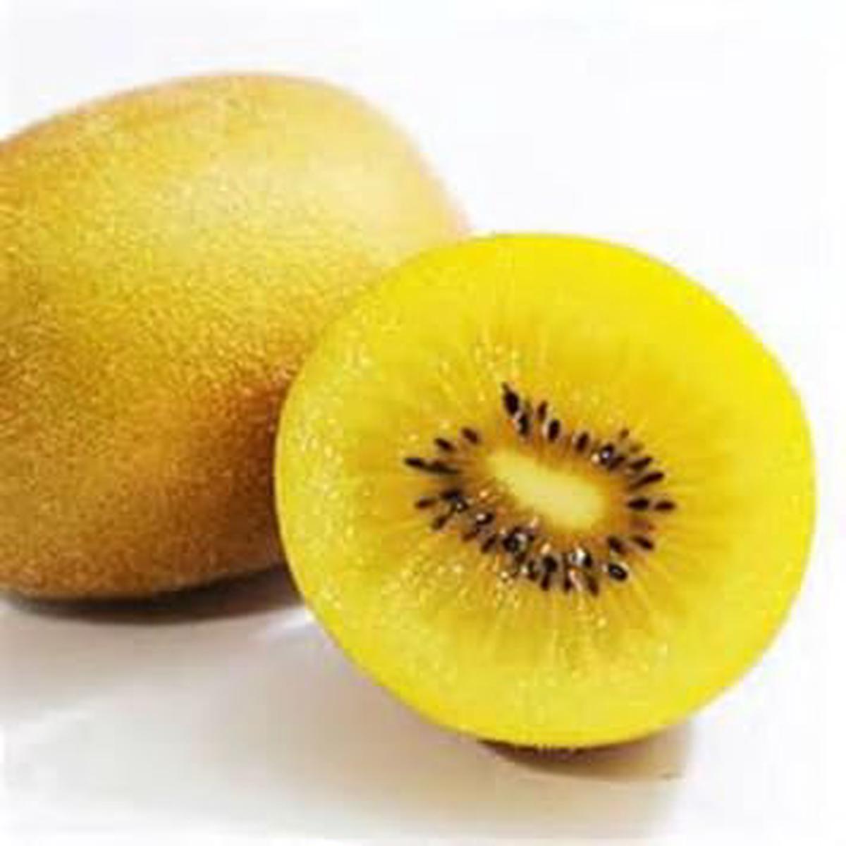 Golden Kiwi Fruit Seeds for Planting  Heirloom Non-GMO High Germination Organic Garden Seeds