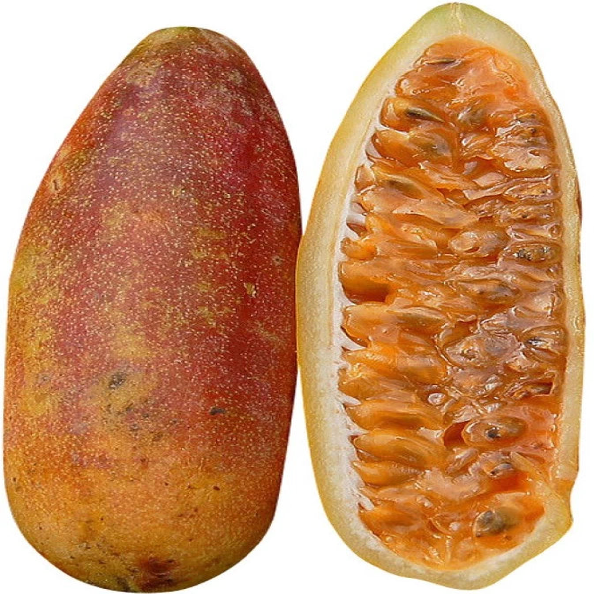 Orange Banana Passion Fruit Seeds for Planting Sweet, Tangy Tropical Fruits, Heirloom & Non-GMO Seeds for Home Garden