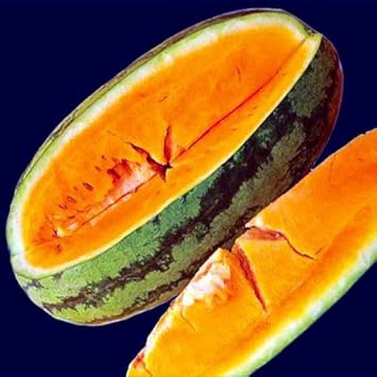Orange Watermelon Fruit Seeds for Planting  Sweet, Refreshing Watermelons, Heirloom & Non-GMO Seeds