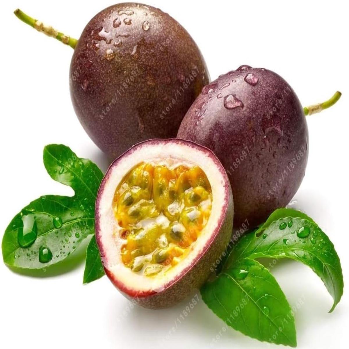 Passion Fruit Seeds for Planting  Dark Purple Variety, Heirloom & Non-GMO, Sweet & Juicy Backyard Fruits