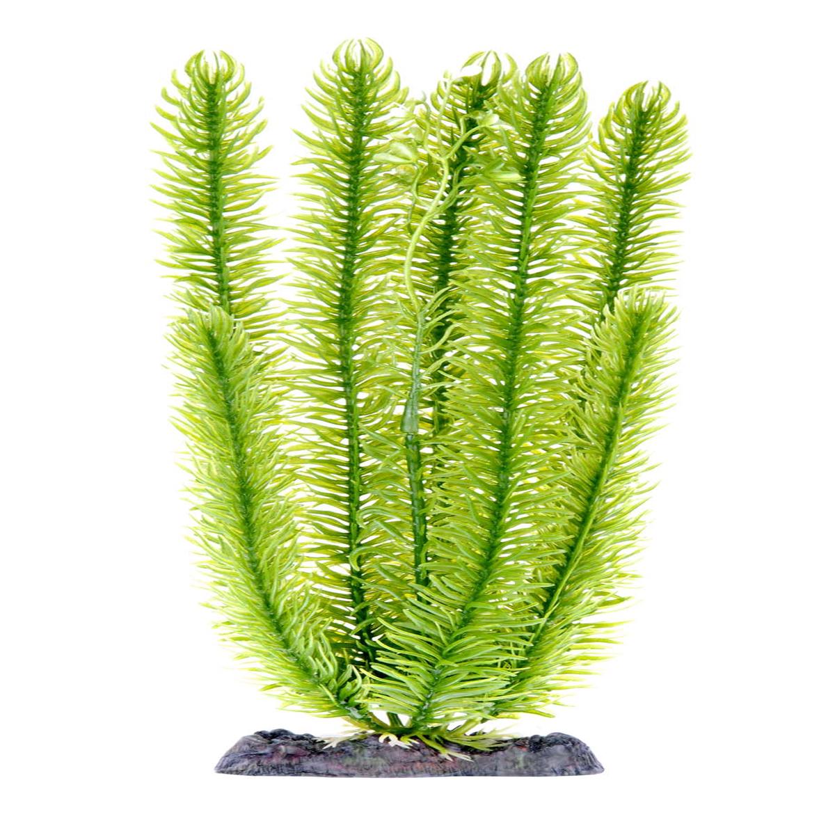 Penn Plax Club Moss Plant - 7 inch