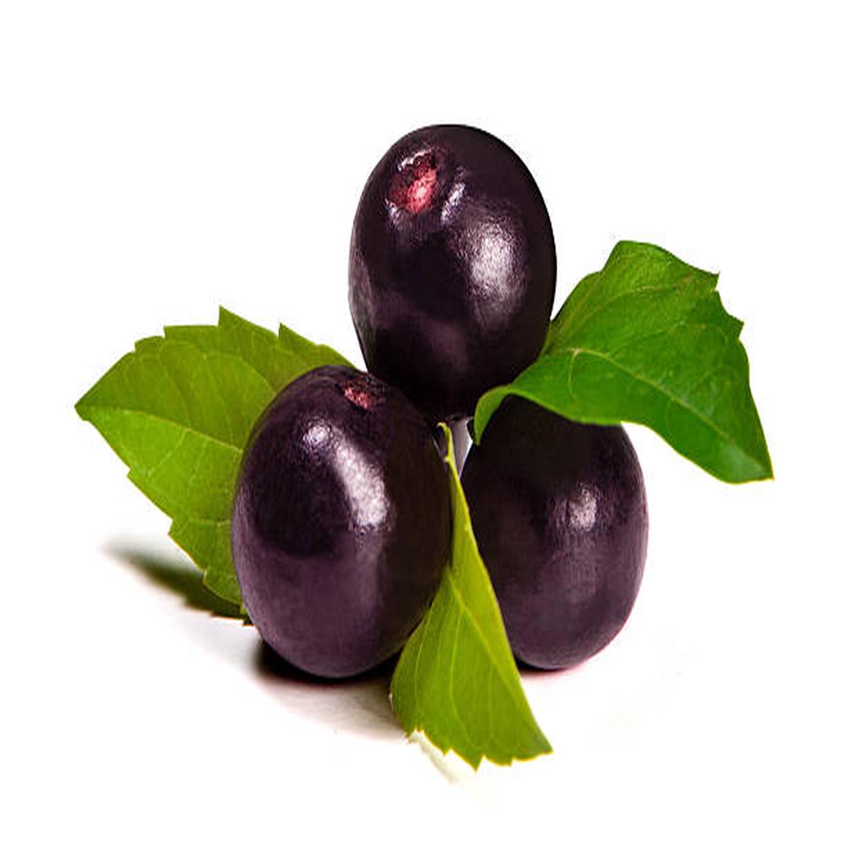 Acai seeds for planting - Heirloom & Non-GMO superfood berry fruit garden seeds