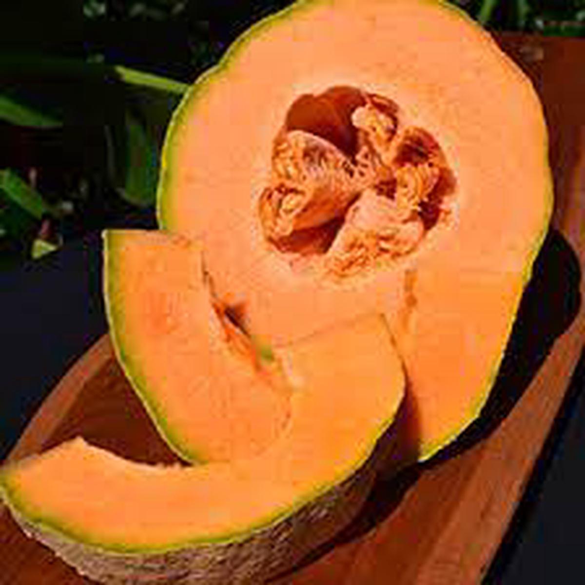 Ambrosia Cantaloupe fruit seeds for planting - Heirloom & Non-GMO Garden seeds, sweet muskmelons for backyard gardens