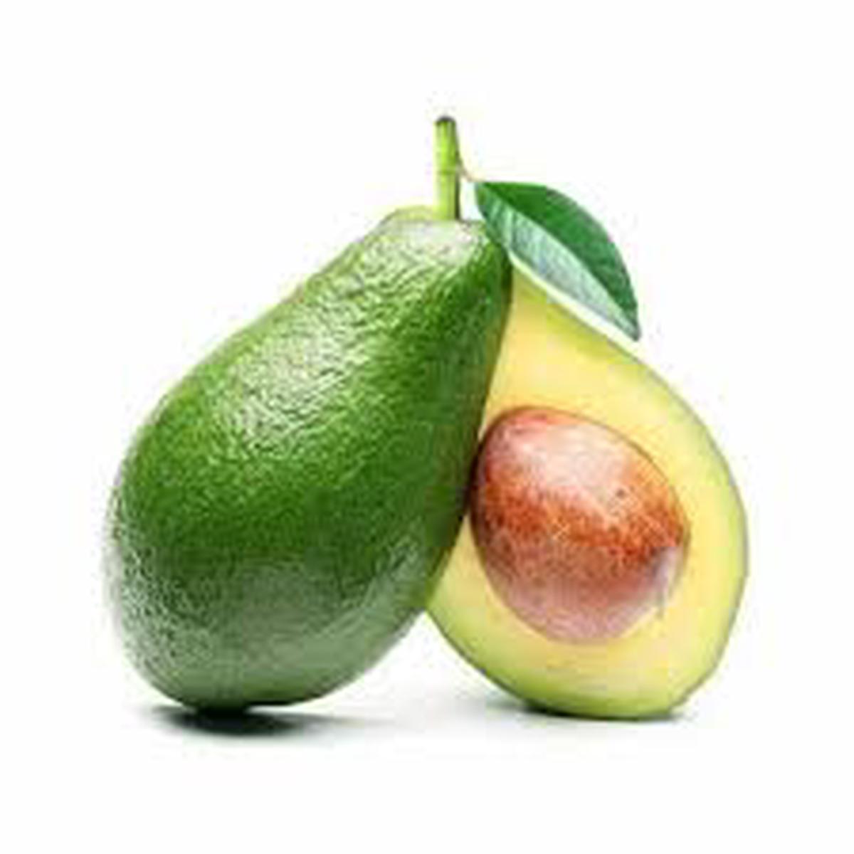 Butter Avocado fruit seeds for planting - Heirloom & Non-GMO garden seeds for organic backyard trees