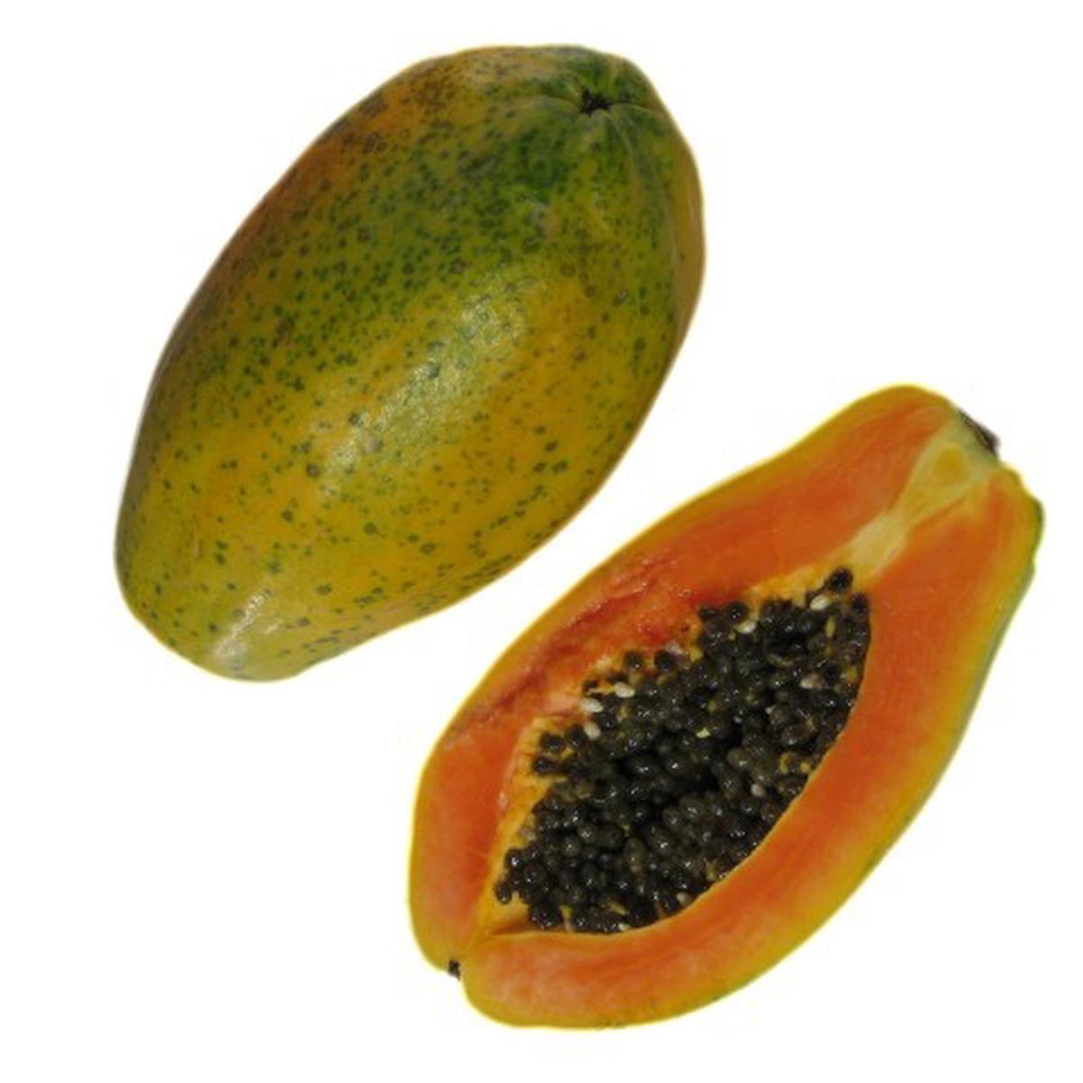 Calimosa Papaya fruit seeds for planting  Heirloom & Non-GMO garden seeds for tropical nutritious harvests