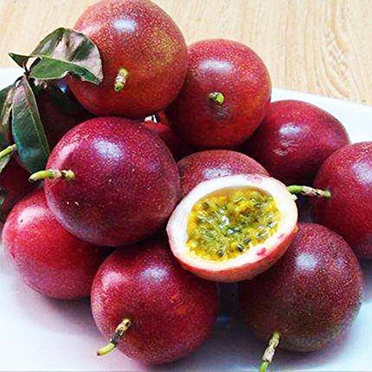 Dark Purple Passion Fruit Seeds  Heirloom, Non-GMO Seeds for Lush Backyard Vine Planting