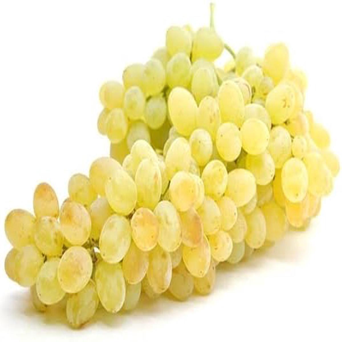 Yellow Grape Fruit Seeds for Planting Heirloom, Non-GMO Delicious Vibrant Garden Grape Seeds