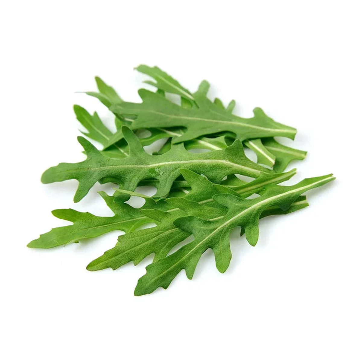 Arugula Rocket Seeds for Planting Fast-Growing Heirloom Leafy Greens