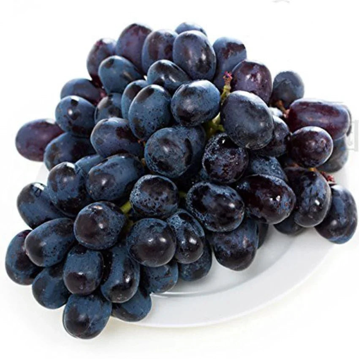 Black Jaboticaba Grape Fruit Seeds for Planting  Heirloom Non-GMO Exotic High Germination Organic Garden Seeds