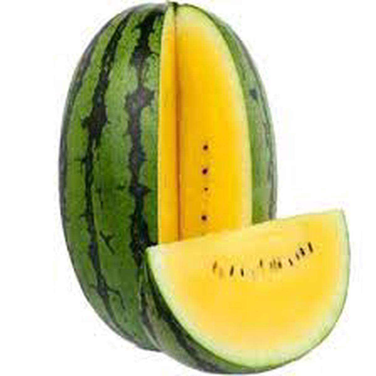 Yellow Watermelon Fruit Seeds for Planting  Heirloom Non-GMO Vibrant Sweet Organic Garden Seeds with High Germination